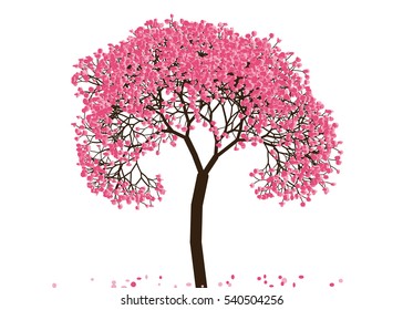 Vector illustration of an abstract blossoming cherry tree against white background