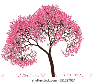 Vector illustration of an abstract blossoming cherry tree against white background