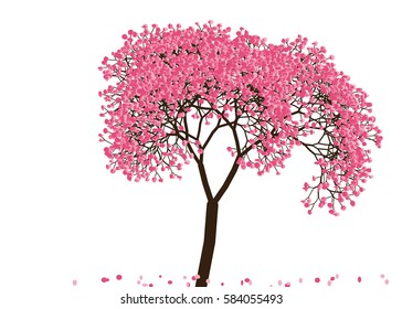 Vector illustration of an abstract blossoming cherry tree against white background