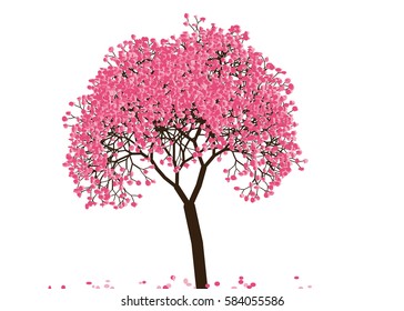 Vector illustration of an abstract blossoming cherry tree against white background