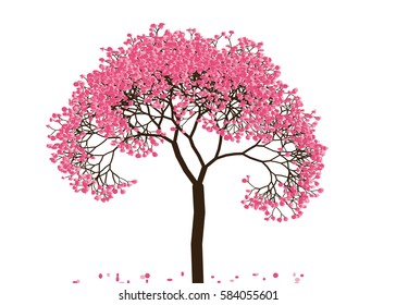 Vector illustration of an abstract blossoming cherry tree against white background