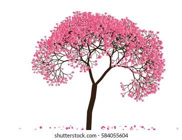 Vector illustration of an abstract blossoming cherry tree against white background