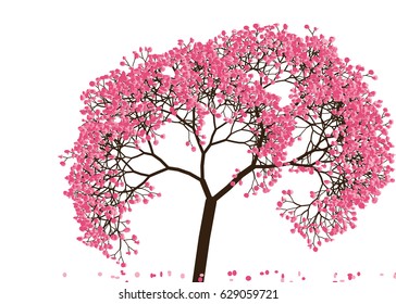 Vector illustration of an abstract blossoming cherry tree against white background