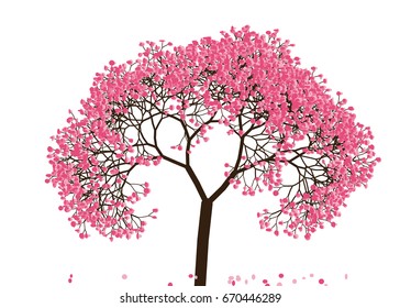Vector illustration of an abstract blossoming cherry tree against white background
