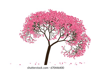 Vector illustration of an abstract blossoming cherry tree against white background