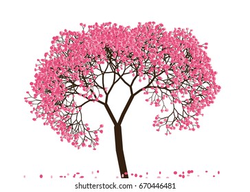 Vector illustration of an abstract blossoming cherry tree against white background