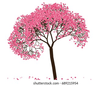 Vector illustration of an abstract blossoming cherry tree against white background