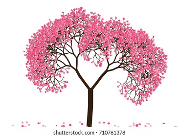 Vector illustration of an abstract blossoming cherry tree against white background
