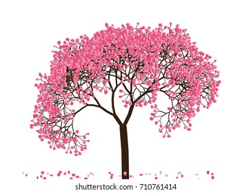 Vector illustration of an abstract blossoming cherry tree against white background