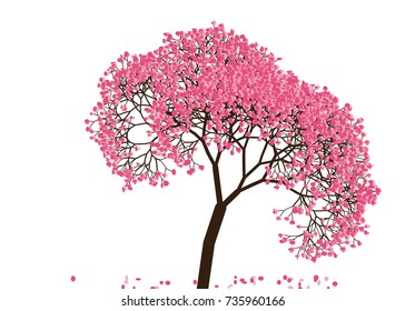 Vector illustration of an abstract blossoming cherry tree against white background