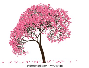 Vector illustration of an abstract blossoming cherry tree against white background