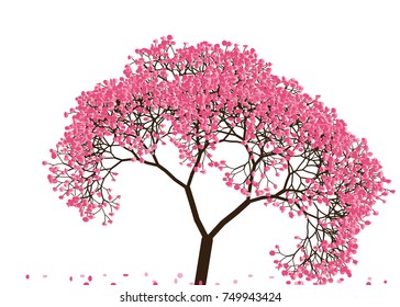 Vector illustration of an abstract blossoming cherry tree against white background