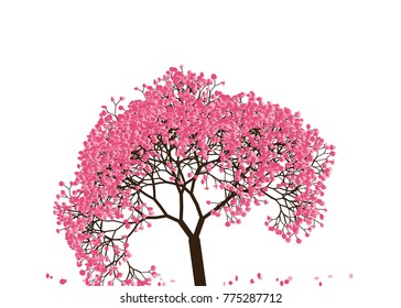 Vector illustration of an abstract blossoming cherry tree against white background