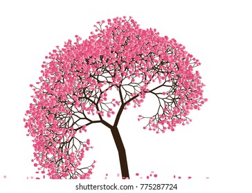 Vector illustration of an abstract blossoming cherry tree against white background