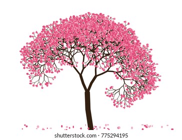 Vector illustration of an abstract blossoming cherry tree against white background