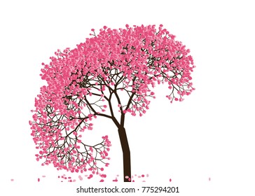 Vector illustration of an abstract blossoming cherry tree against white background