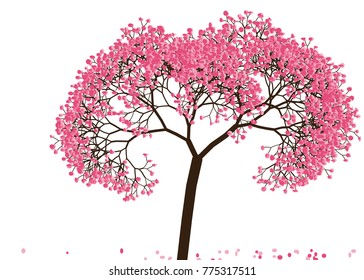 Vector illustration of an abstract blossoming cherry tree against white background