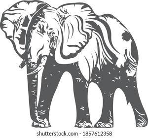 Vector illustration abstract of elephant