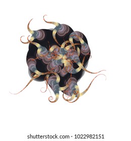 Vector illustration of an abstract geometric structure consisting of multicolored circles of different size and transparency. Strange object with swirls at the end resembling a complex organic system