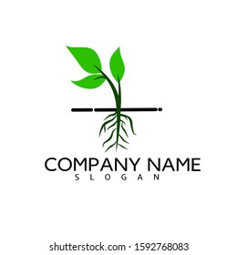 Vector illustration of abstract green leaf logo design template. Logo design that develops naturally with minimal style. - Vector