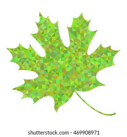 Vector illustration of abstract green maple leaf.