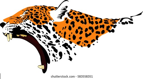 Vector illustration of  abstract growling Jaguar. Jaguar head colorful isolated on white background