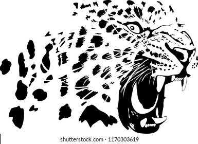 Vector illustration of abstract growling leopard. leopard head black isolated on white background