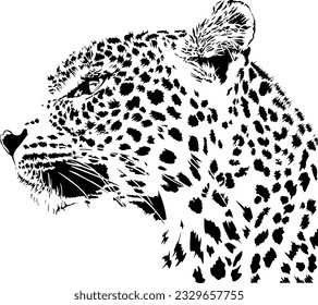 Vector illustration of abstract growling leopard. leopard head black isolated on white background