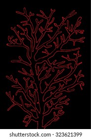 Vector illustration of abstract hand drawn simple tree. Branches, twigs, antlers, mushroom. Red & black.