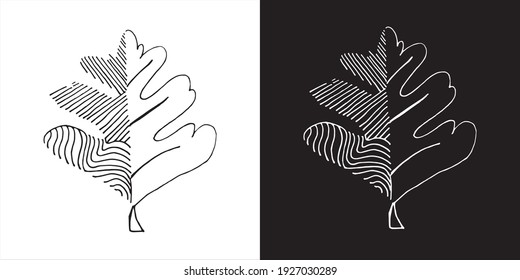 Vector Illustration of Abstract Leaf Line Art Design in Black and White Background