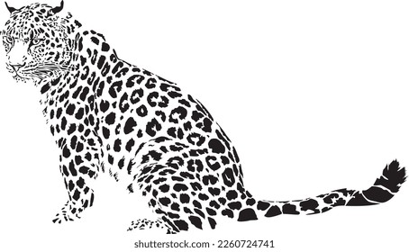 Vector illustration of abstract leopard black isolated on white background