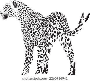 Vector illustration of abstract leopard black isolated on white background