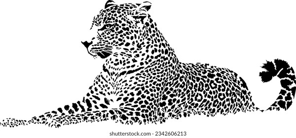 Vector illustration of abstract leopard black isolated on white background