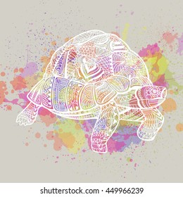 Vector Illustration of an Abstract Ornamental Turtle