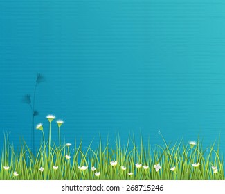 Vector illustration abstract paper green grass. Spring nature field with white flower meadow,water drops on green leafs, light blue green color paper texture background .Blank space for your design