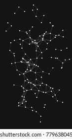 Vector illustration of an abstract plexus structure forming a geometric pattern on a black background. Network connection between dots and lines