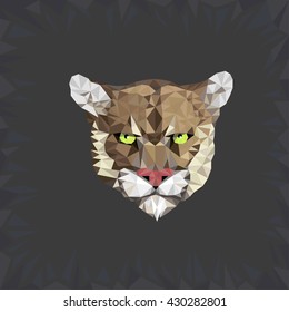 Vector illustration abstract portrait of a big wild cat on a dark background