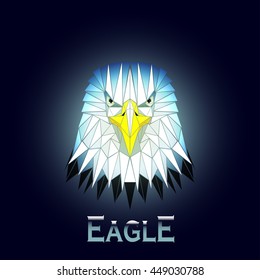 vector illustration abstract portrait of an eagle