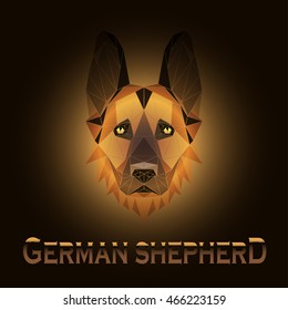 vector illustration abstract portrait of a German Shepherd