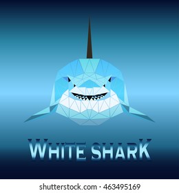 vector illustration abstract portrait of a white shark