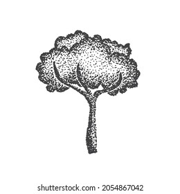 Vector Illustration of Abstract Sketch Trees in Isolated Background. Graphic Design Elements for Templates, Poster and More.