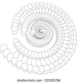 Vector illustration of an abstract spiral structure consisting of geometric objects of the same shape on a white background