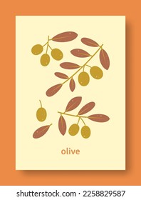 Vector illustration abstract still life of olive branch and olive fruit in pastel colors. Collection of contemporary art. Nature and ecology.