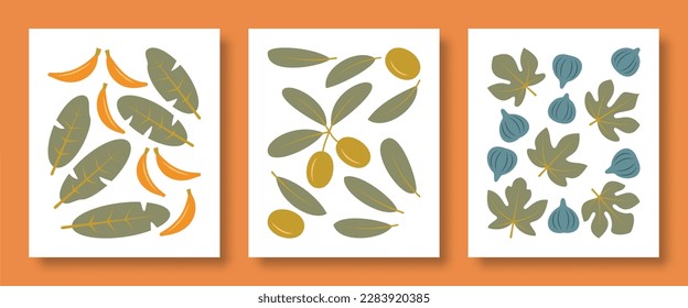 Vector illustration abstract still life of plant leaves and their fruits in pastel colors. Vector set leaves of banana, olive, fig tree for social media, posters, postcards and web design.