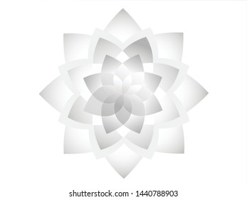 vector illustration abstract white background ,flower vector, white flower vector