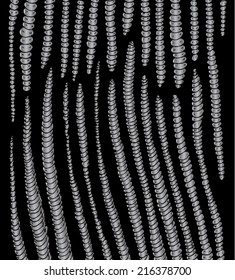 Vector illustration of abstract worms background pattern. Black & White hand drawn earthworm. 