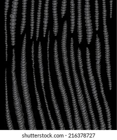 Vector illustration of abstract worms background pattern. Black & White hand drawn earthworm. 