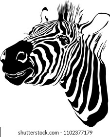 Vector illustration of abstract zebra on a white background