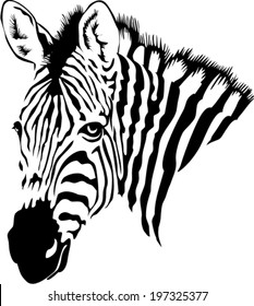 29,740 Zebra Head Images, Stock Photos & Vectors | Shutterstock