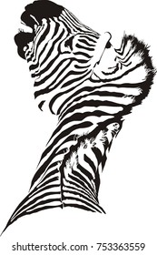Vector illustration of abstract  zebra on a white background